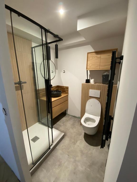 Kupatilo u objektu Appartement neuf tout confort 55 m2 - 2 chambres pour 4/6 personnes