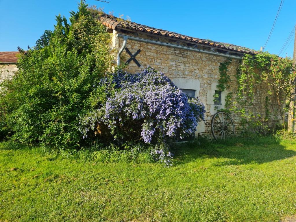 Les Schumac - Housity