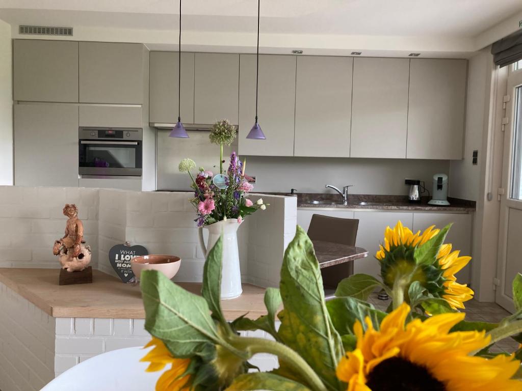 Kuchyň nebo kuchyňský kout v ubytování Vakantiewoning De Papendaler