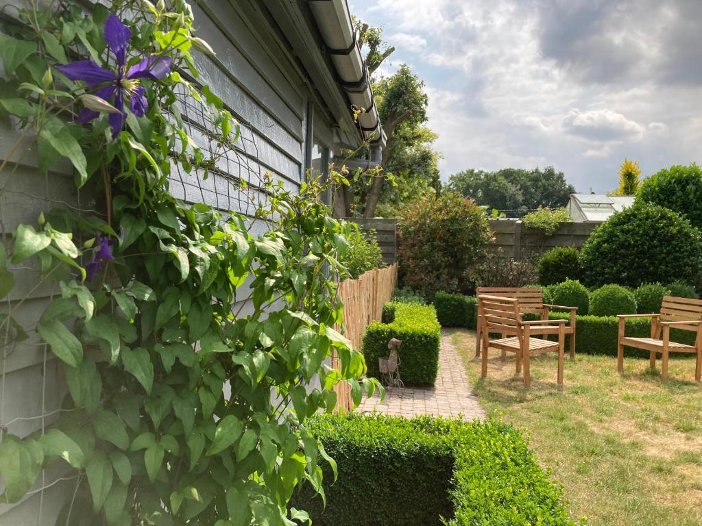 Zahrada ubytování Vakantiewoning De Papendaler