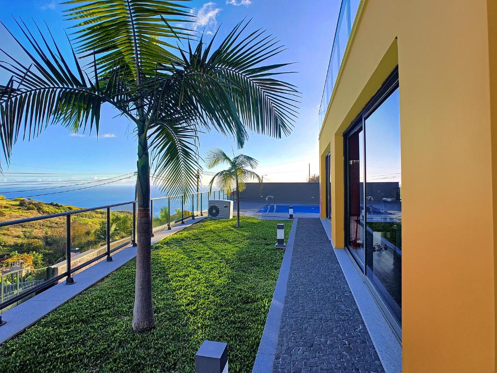 een uitzicht op de oceaan vanuit een huis met een palmboom bij Villa Serramar in Estreito da Calheta
