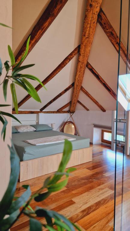 a room with a bed and a potted plant at GreatStay - with free parking in center in Pula