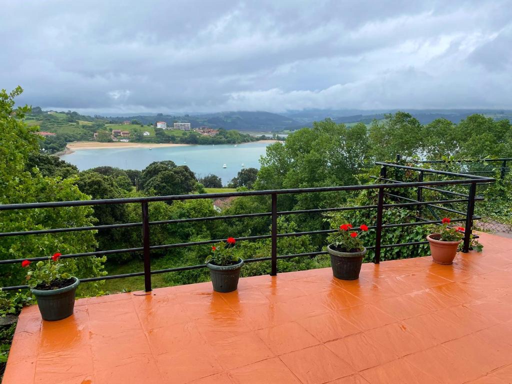 サン・ビセンテ・デ・ラ・バルケラにある3 bedrooms house with sea view and enclosed garden at San Vicente de la Barqueraの鉢植えの植物が植えられたバルコニーから湖の景色を望めます。