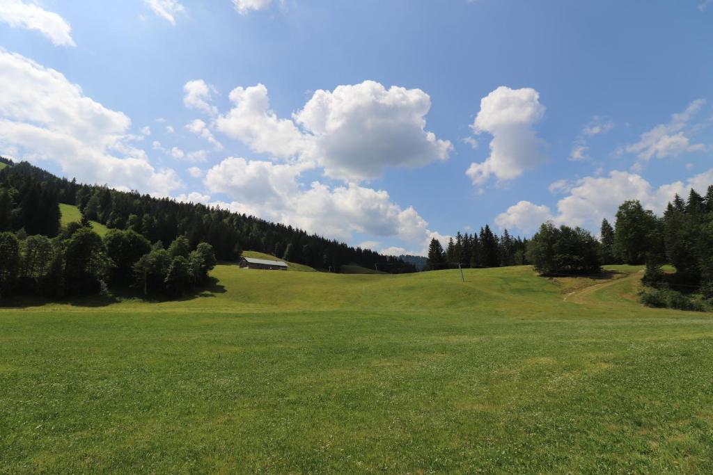 Příroda nedaleko hotelu