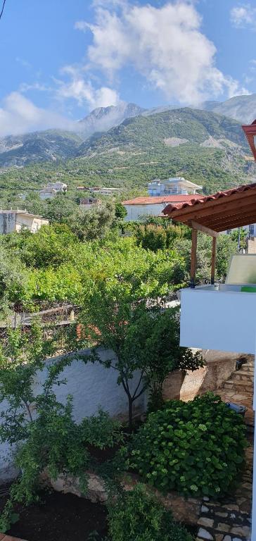 XHEKO ROOMS - Image 8