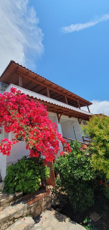 un ramo de flores rojas al lado de una casa en XHEKO ROOMS, en Dhërmi