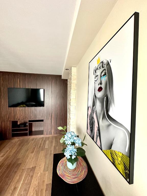Televízia a/alebo spoločenská miestnosť v ubytovaní Comfort Apartment 2 rooms 65m2