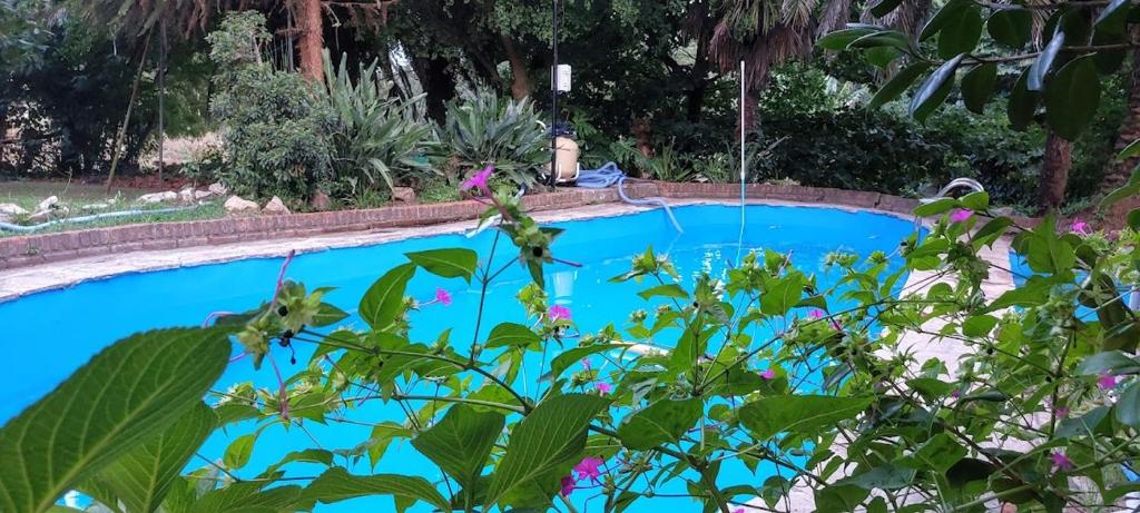 Ein Blick auf den Pool von der Unterkunft Villa la Candelaria oder aus der Nähe