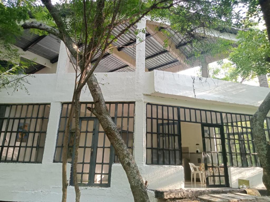 ein Haus mit einem Baum davor in der Unterkunft Apartamento vacacional piscina in Nariño