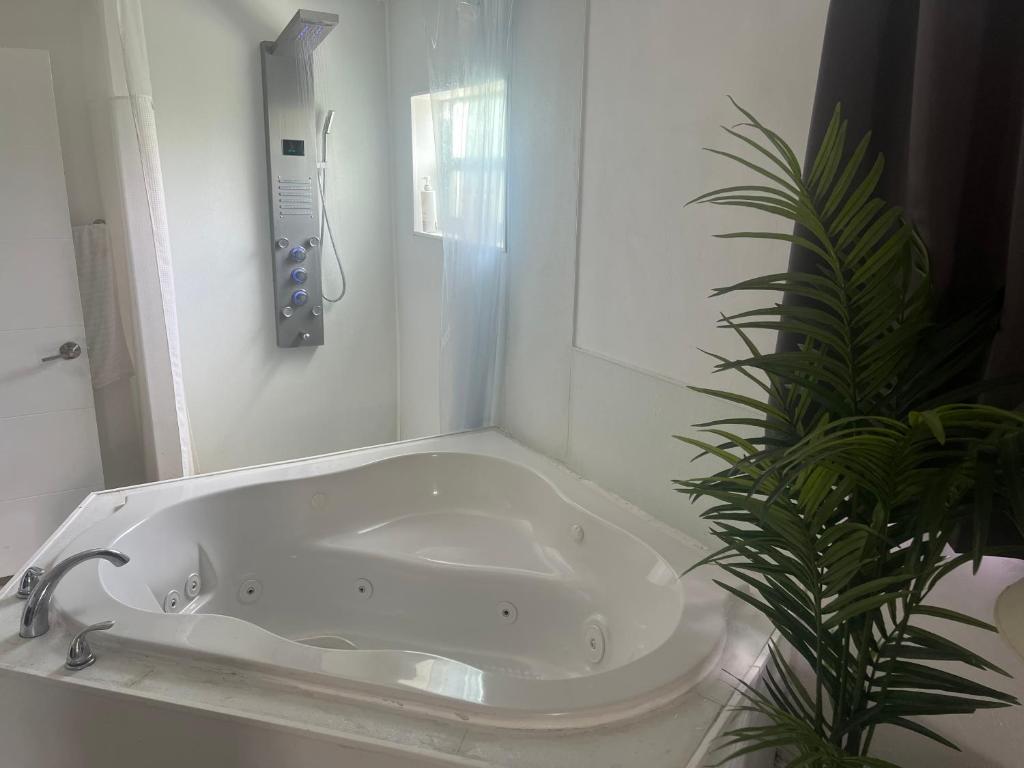 a white bath tub in a bathroom with a plant at Miami haven by airport in Miami