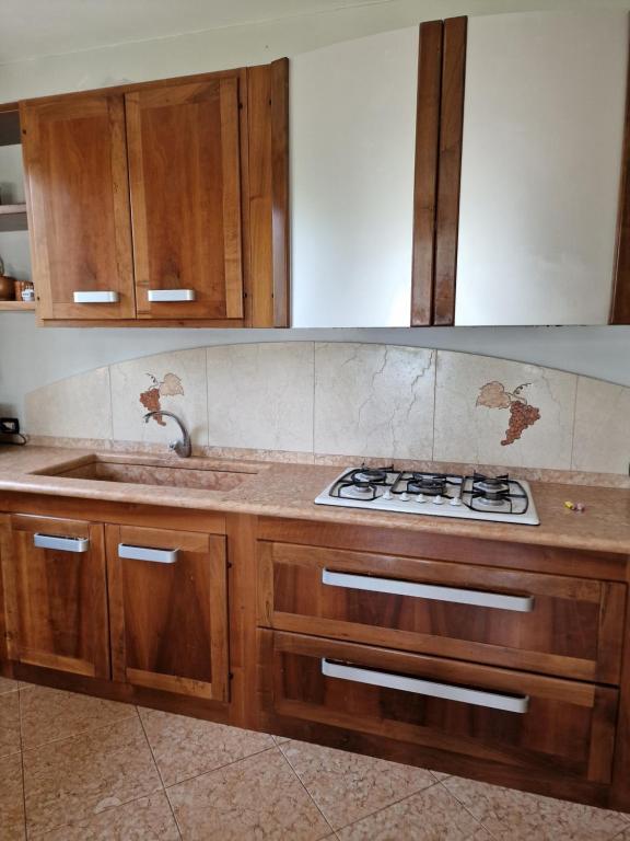 Kuchnia lub aneks kuchenny w obiekcie "Cortela" appartameni in villetta singola