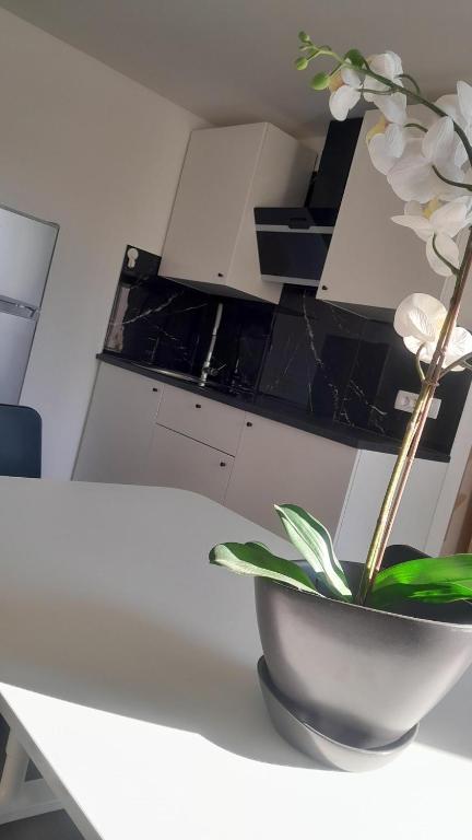a white counter with a vase with flowers in it at Apartma Ana in Koper