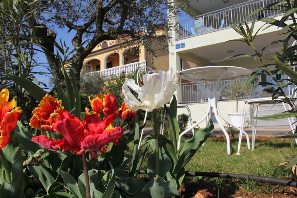 - un jardin avec des fleurs colorées, une table et des chaises dans l'établissement Apartments Villa Lili, à Umag