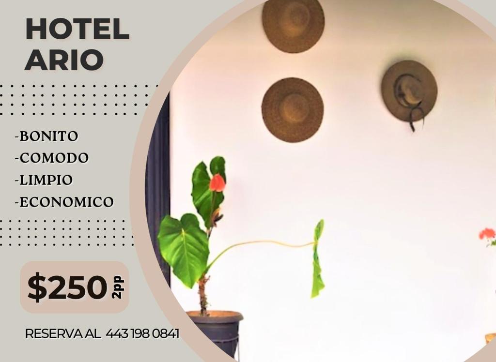 Fotografie z fotogalerie ubytování Hotel Ario v destinaci Ario de Rosales