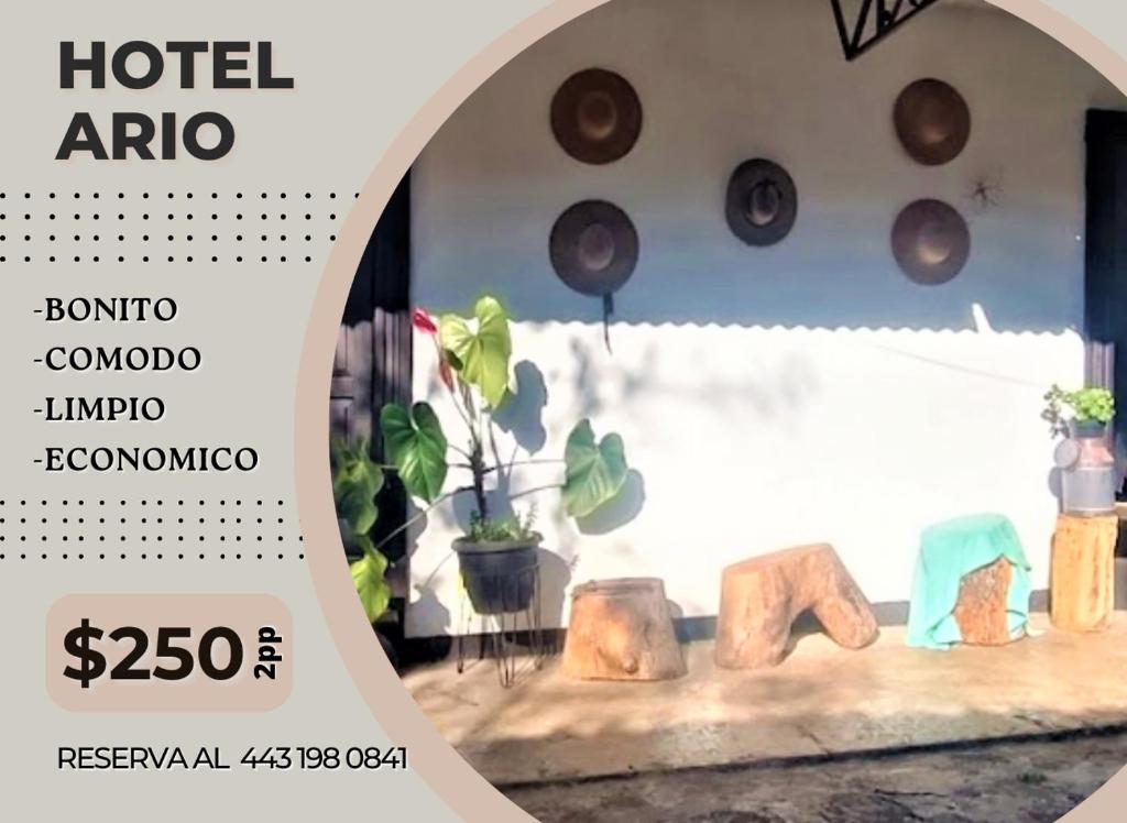 Certifikát, hodnocení, plakát nebo jiný dokument vystavený v ubytování Hotel Ario