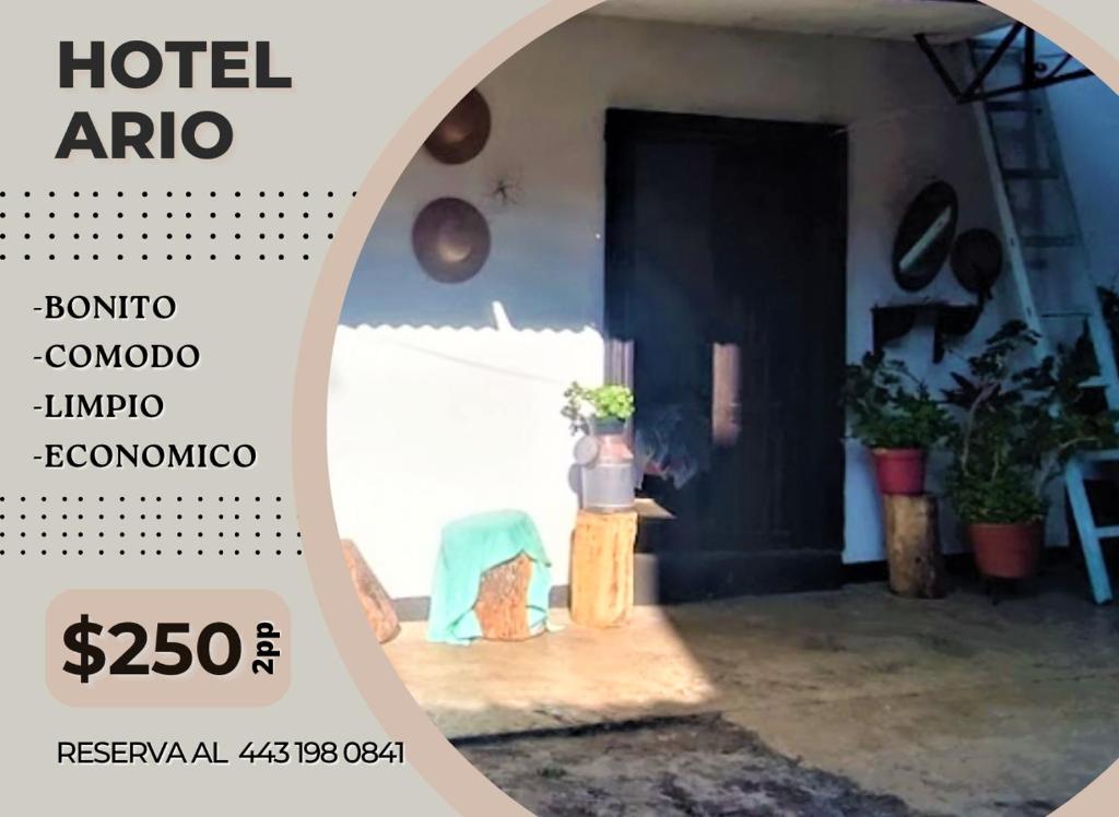 Certifikát, hodnocení, plakát nebo jiný dokument vystavený v ubytování Hotel Ario