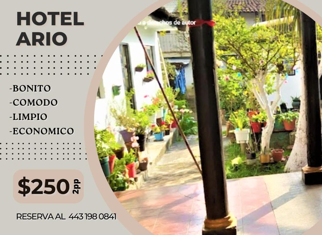 Certifikát, hodnocení, plakát nebo jiný dokument vystavený v ubytování Hotel Ario