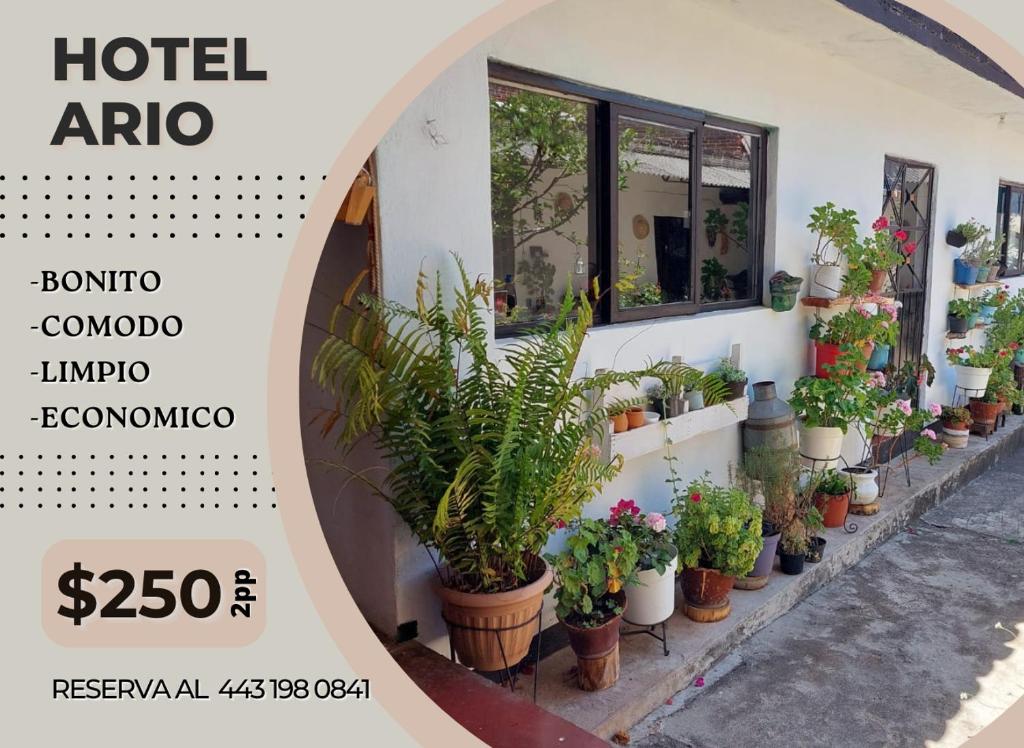 Fotografie z fotogalerie ubytování Hotel Ario v destinaci Ario de Rosales