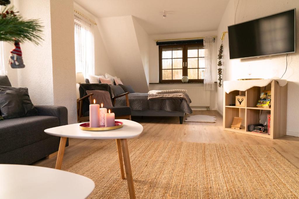 TV a/nebo společenská místnost v ubytování Das Waldseechalet Traumhafter Waldseeblick - großzügige Wohnung - Infrarotsauna