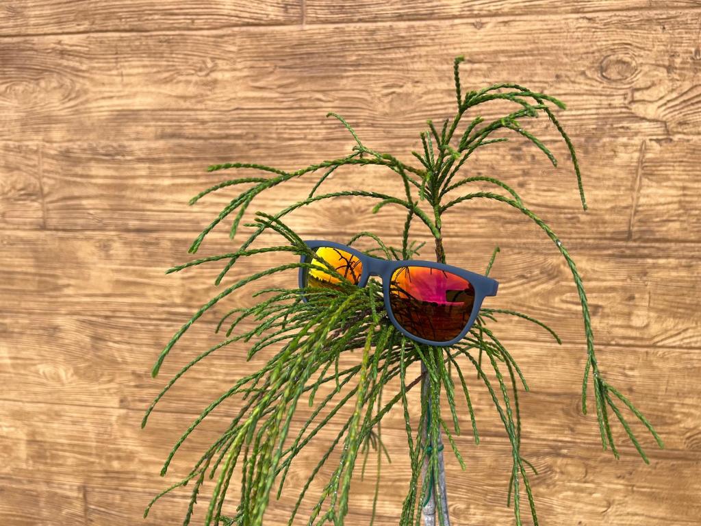 Jaśminowa Park - 17