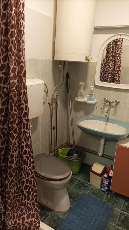 Un baño de sobe MAŠA