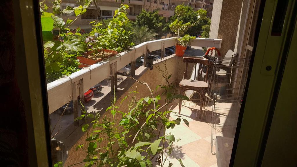 Balkón nebo terasa v ubytování غرفة سنجل بحمام خاص لمزيد من الخصوصية Single Room with private bathroom for more privacy Номер с отдельной ванной комнатой для большей конфиденциальности Chambre avec salle de bain privée pour plus d'intimité