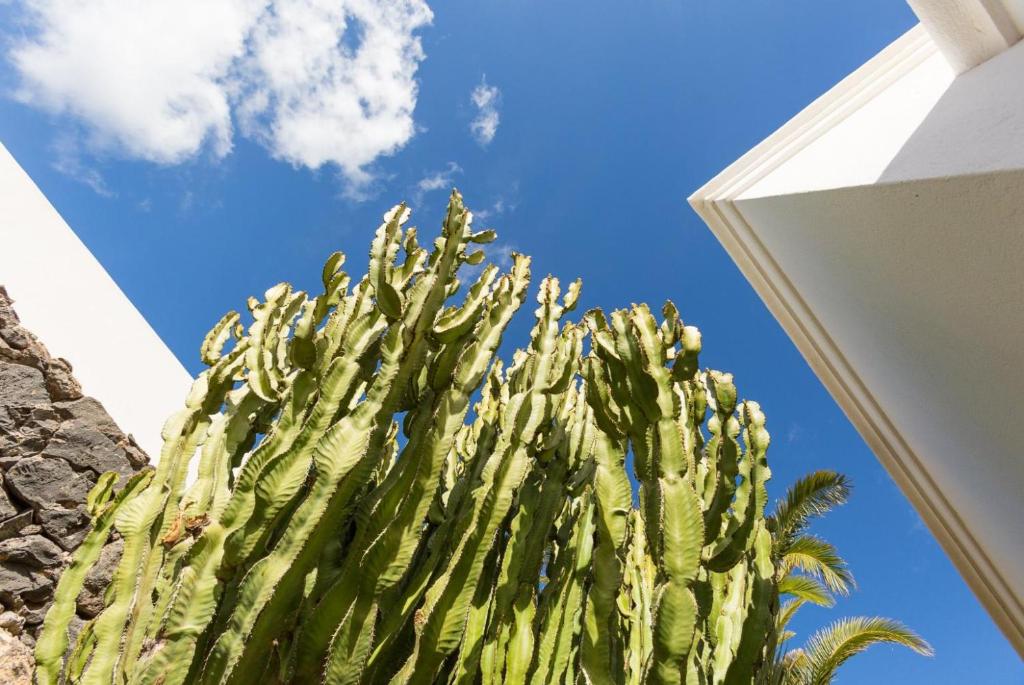 Fotografie z fotogalerie ubytování Villa Ramos Dos v destinaci Puerto Calero