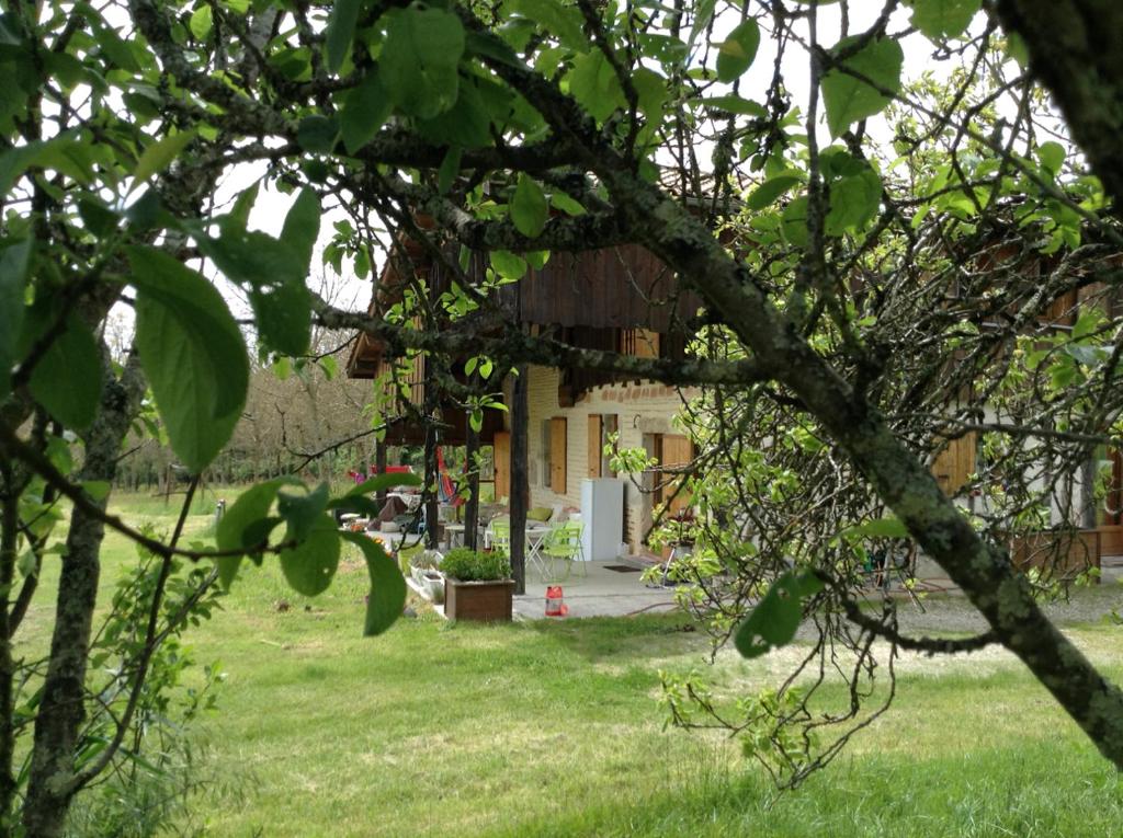 a house in a field with a tree at L&#39;écrin - Chambres d&#39;hôtes au calme et au vert 