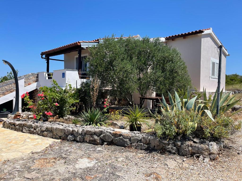 Zahrada ubytování Holiday House Rusticana Sali, Dugi otok near NP Kornati