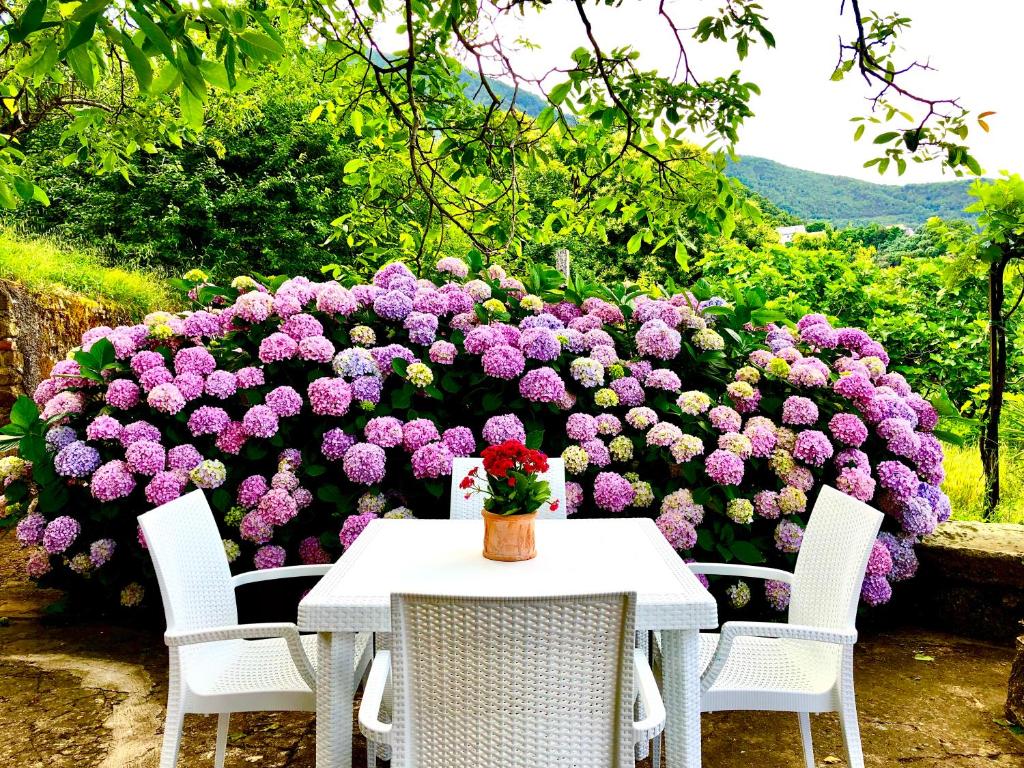a table and chairs in front of a large bush of flowers at Il Ciliegio in Stella Cilento