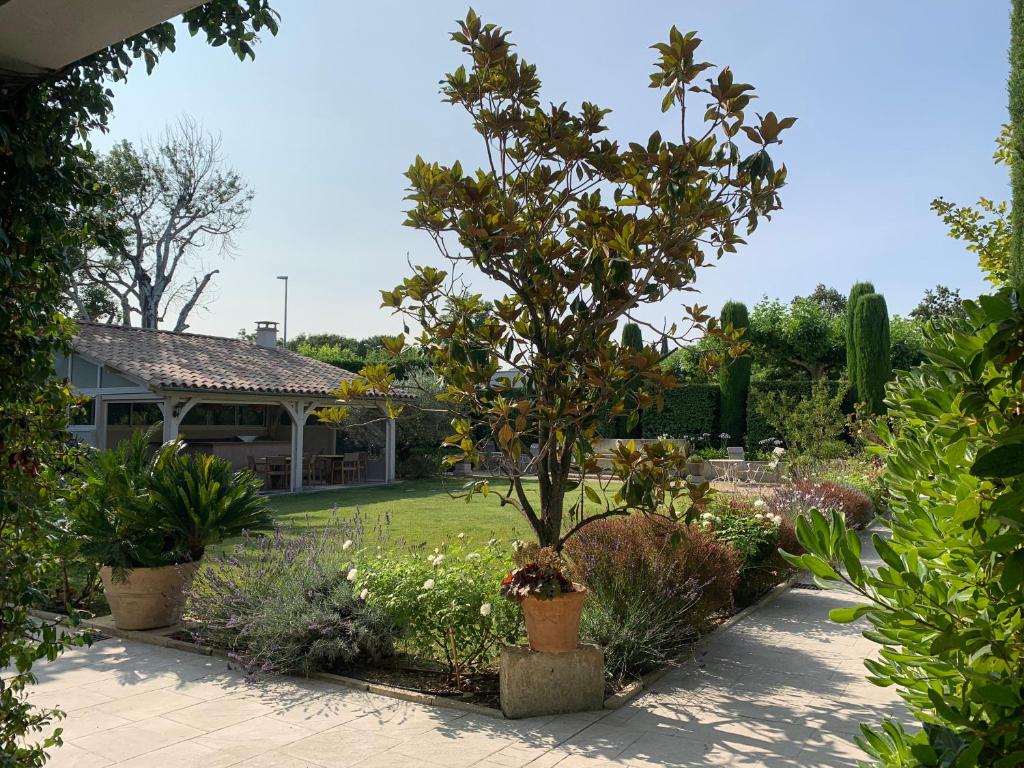 Residence Melody - Adult only - 12