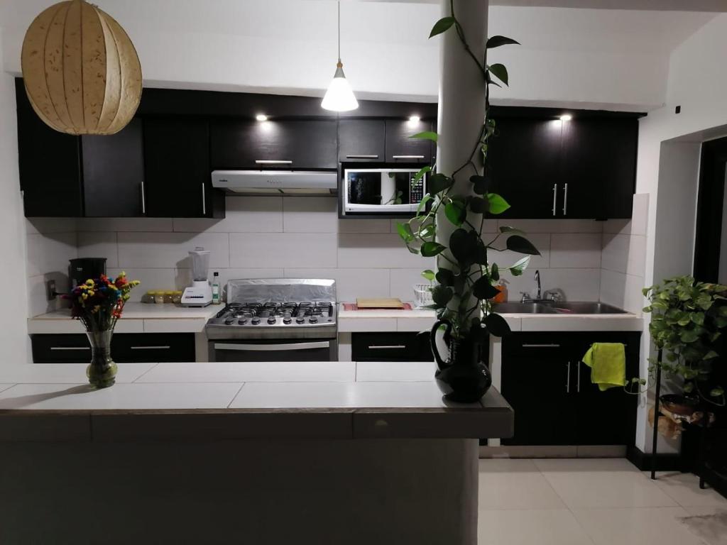 a kitchen with black cabinets and a white counter top at Casa los Arcos Oaxaca in Oaxaca City