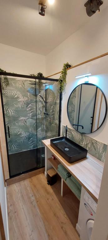 La salle de bains est pourvue d'un lavabo et d'une douche avec un miroir. dans l'établissement La PAUSE Salonaise "au coeur de la ville", à Salon-de-Provence
