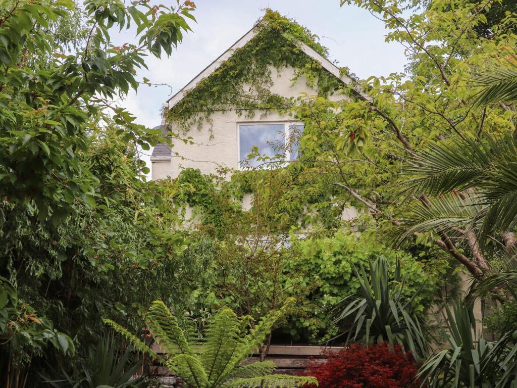 a house obscured by trees and plants at Sea View in St Austell