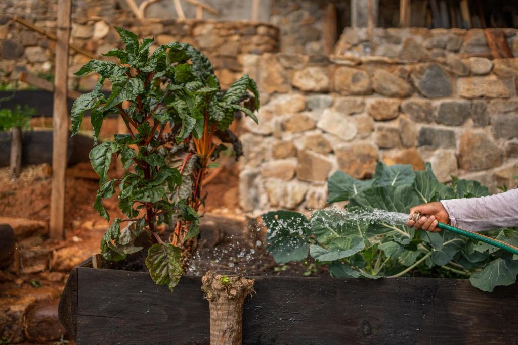 Giardino di Casa Chuparrosas