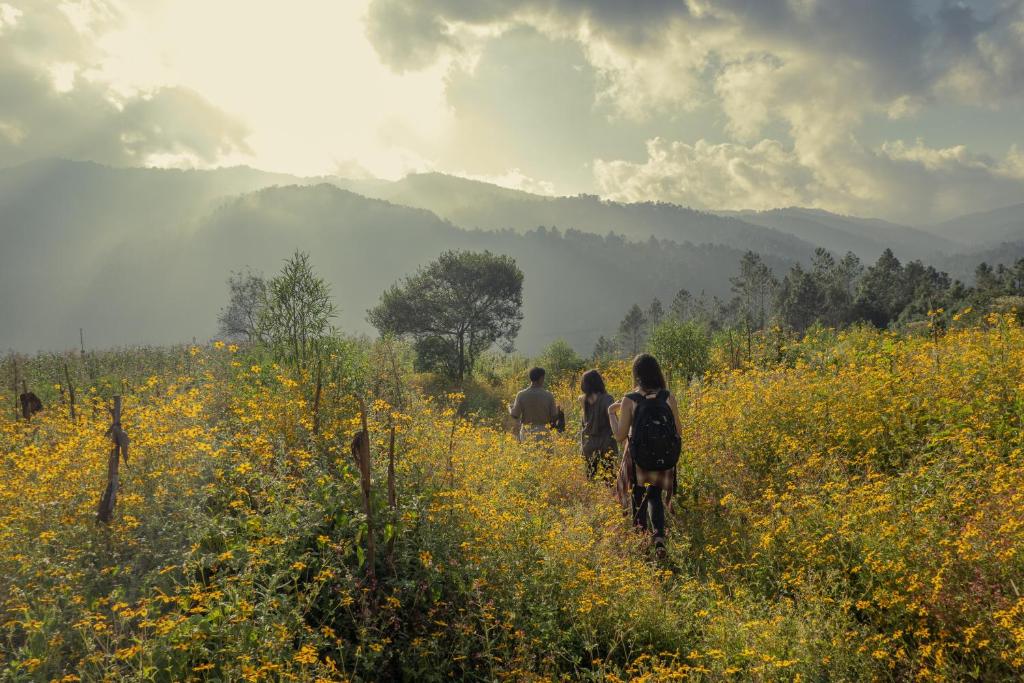 Paesaggio naturale nelle vicinanze dell'affittacamere