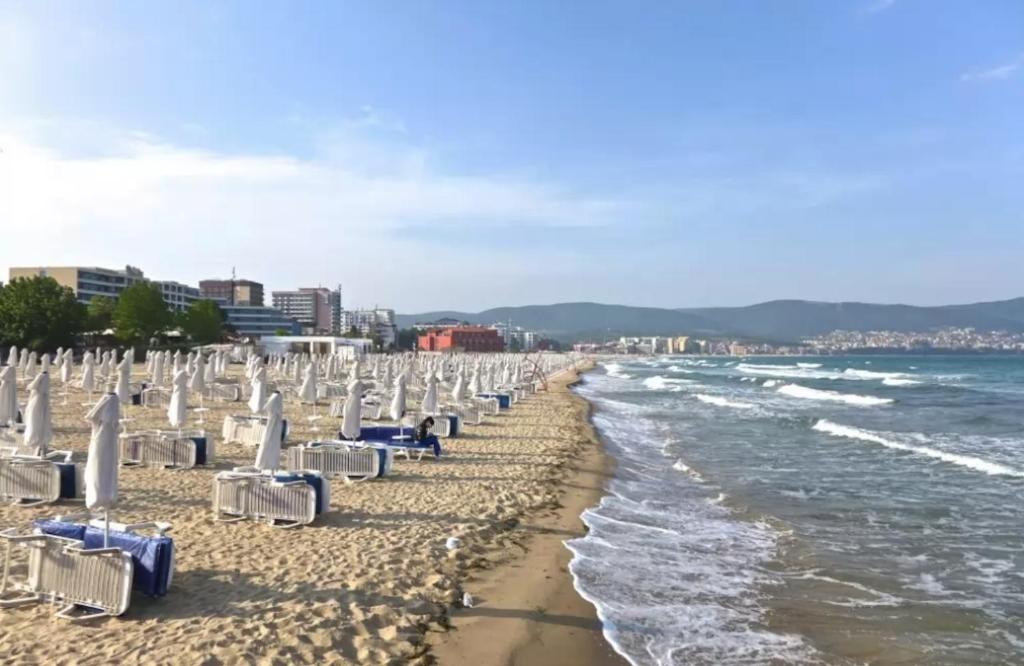 Příroda nedaleko apartmánu