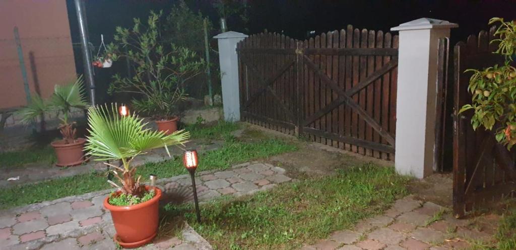 une clôture en bois avec des plantes en pot dans une cour dans l'établissement Casa Camelia, à Ocna Şugatag