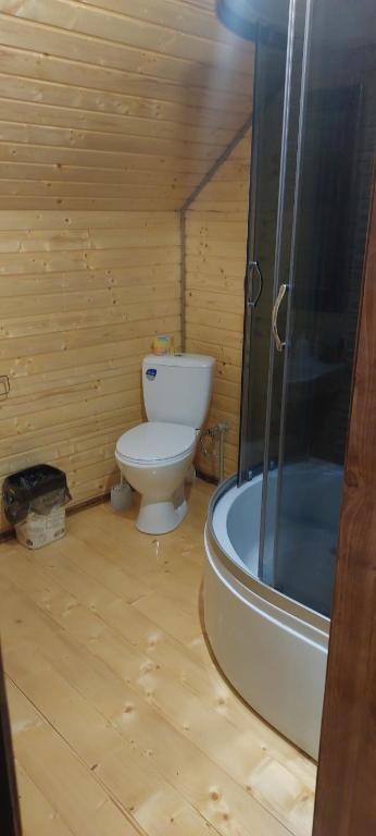 a wooden bathroom with a toilet and a shower at Крайня Хата in Synevyrsʼka Polyana