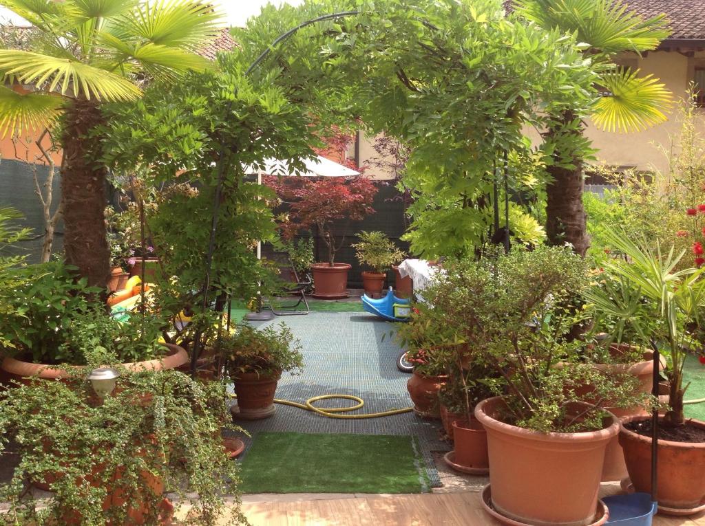 Zahrada ubytování Guest House Santiago