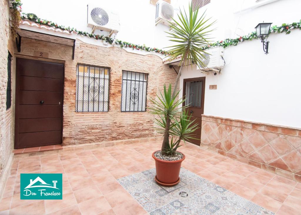 a house with a palm tree in a courtyard at Don Francisco in Córdoba