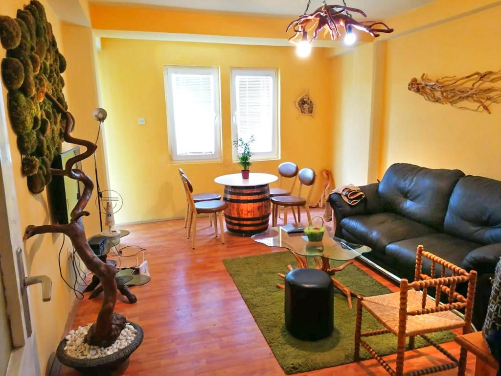 a living room with a leather couch and a table at Tree apartment in Ohrid