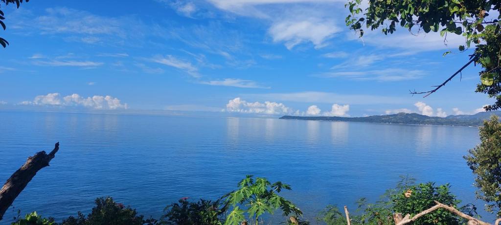 Bohol-Lahoy Dive Resort في Guindulman: اطلاله على جسم كبير من الماء