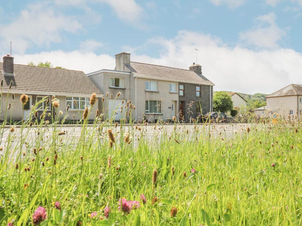 a field of tall grass in front of a house at Britannia Cottage in Llanrhystyd