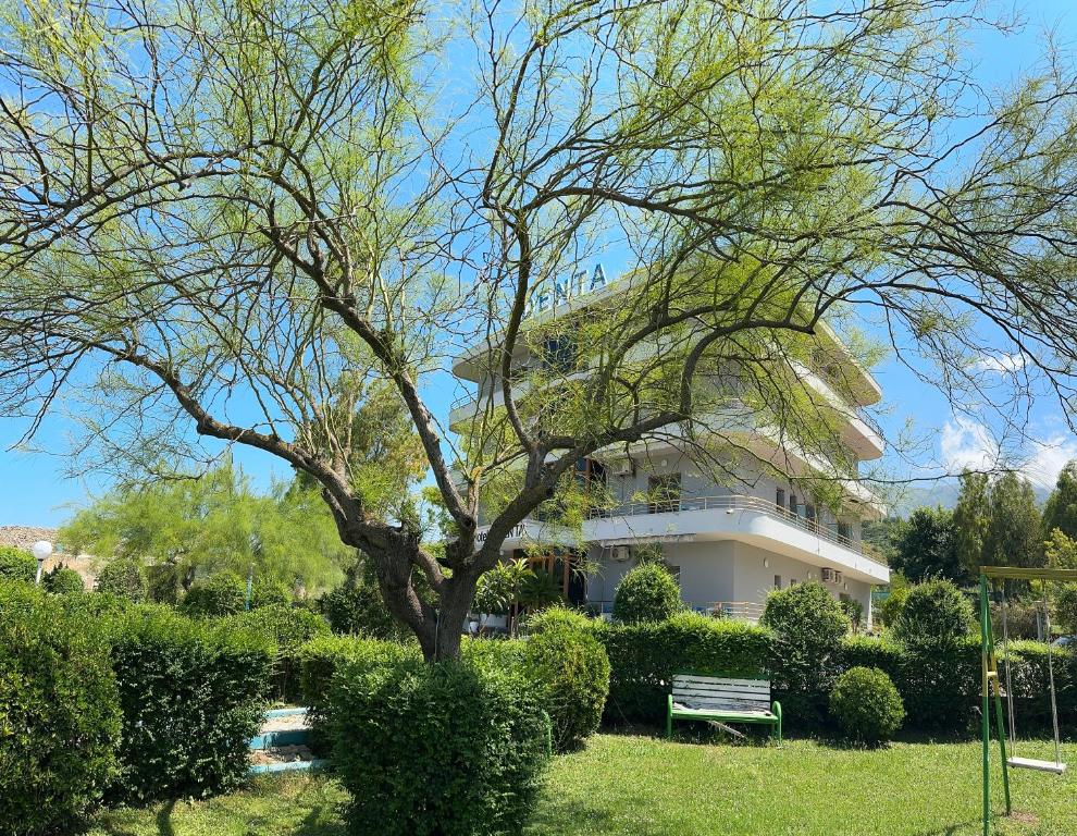 a tree and a bench in front of a building at Hotel Denta in Vlorë