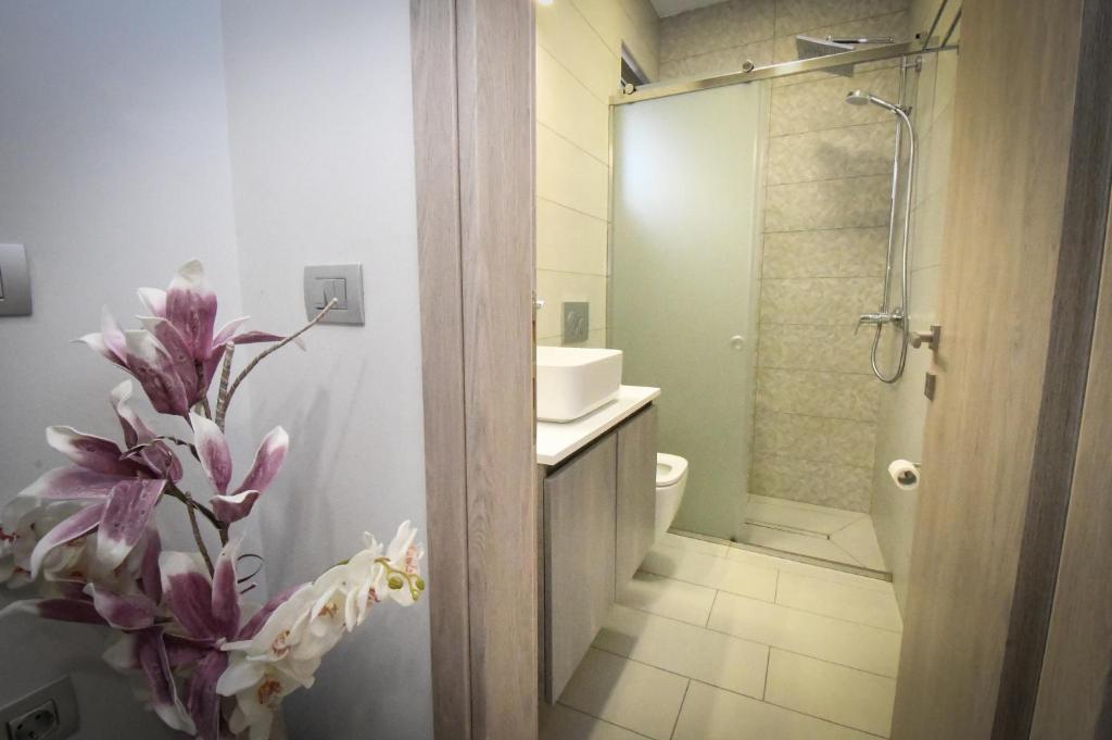 Koupelna v ubytování Nefeli Apartment