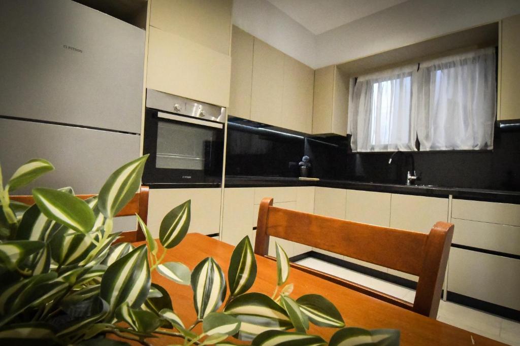 Kuchyň nebo kuchyňský kout v ubytování Nefeli Apartment