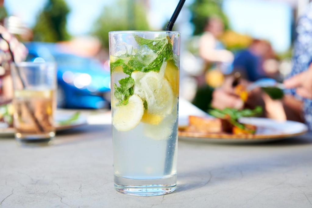 Prince's Gate Hotel - Resim 18