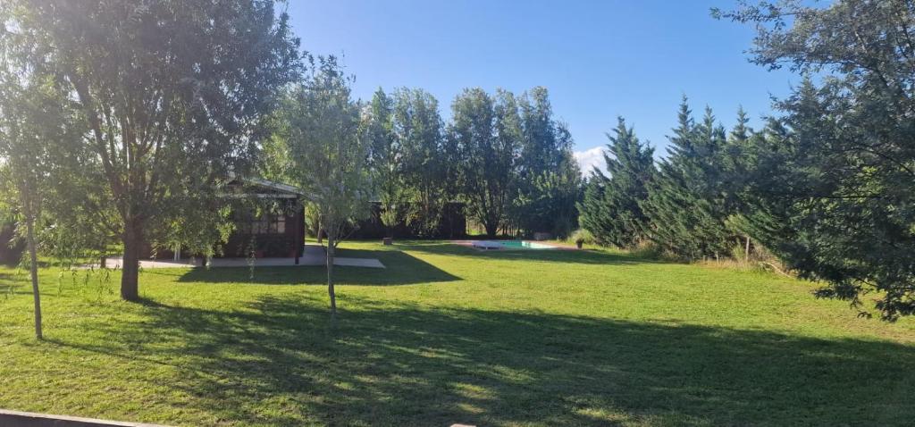 un parc verdoyant avec un arbre et une aire de jeux dans l'établissement Nuestra quinta, à Veinticinco de Mayo