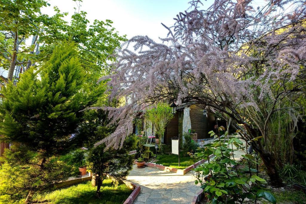 a tree with purple flowers in front of a house at Park Mandalin Hotel - Adult only in Ağva
